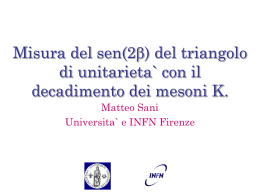 Matteo Sani Universita` and INFN Firenze