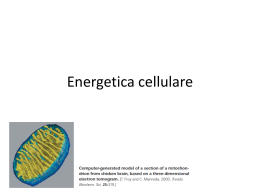 Energetica cellulare - Uninsubria