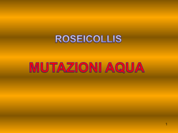 mutazione acqua