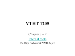 DipaCH 3 - internal ROOTS - Dr. Brahmbhatt`s Class Handouts