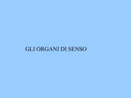 La fisica dei suoni