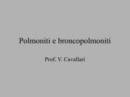 Polmonite lobare Polmoniti lobulari o Broncopolmoniti