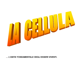 La cellula