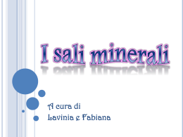 Sali minerali di Lavinia e Fabiana