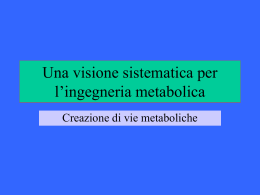 Ingegneria metabolica dei lipidi