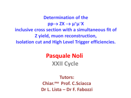 Talk_PhD_Pasquale