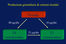 h) tiroide_esercizio (vnd.ms-powerpoint, it, 932 KB, 12/20/12)
