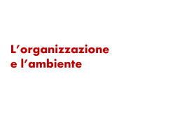 05 Organizzazione e ambiente (introduzione)