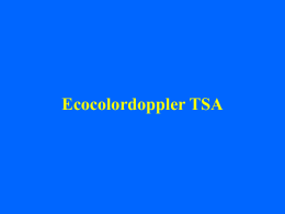 Ecocolordoppler TSA.
