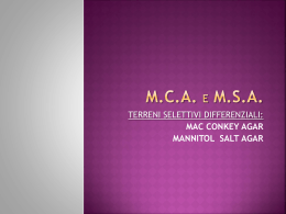 M.C.A. e M.S.A.
