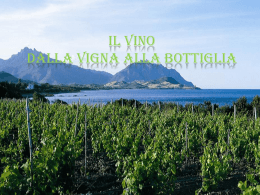 il vino in sardegna