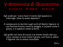 presentazione Lazzaro (file pptx 0,8Mb)