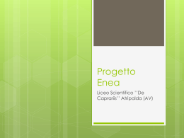 Progetto Enea