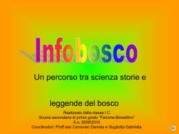infobosco i c 2009-2010