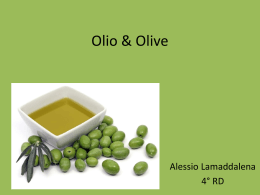 Olio & Olive (Alessio Lamaddalena)