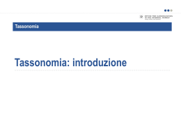 Tassonomia