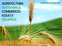 agricoltura sostenibile: commercio equo e solidale