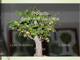 Sentinelle del clima - Liceo Scientifico Galeazzo Alessi