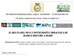 Il Delta del PO e l`officiosit&agrave; idraulica di rami e bocche a mare