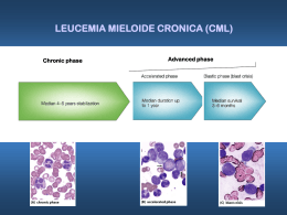 Modulazione di Bcr-Abl nella leucemia mieloide cronica e nei GIST