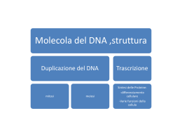 DNA File - Aula Virtuale ICSTURLA