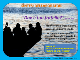 Sintesi dei laboratori