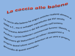 la caccia alle balene di Chiara Polito