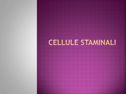 Staminalismo