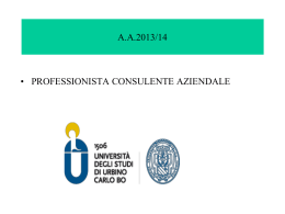 Consulente aziendale terza parte