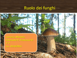 Funghi Lucrezia Michela Fancesco D Emanuele P