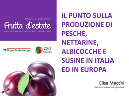 Il punto sulla produzione di pesche, nettarine
