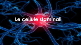 Le cellule staminali