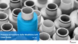 Soft Change Management_Guidelines