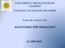 Radiografia ed Ecografia - Università degli Studi di Cassino