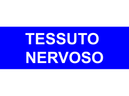 Biologia_Tessuto_Nervoso