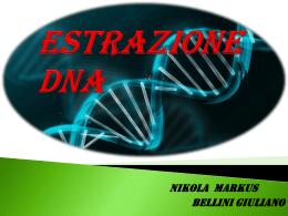 Estrazione DNA Bellini Markus