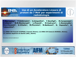 Diapositiva 1 - C.R. ENEA Frascati