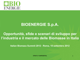 Italian Biomass Summit