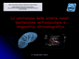 La stenosi dell`arteria renale