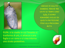 pwp progetto
