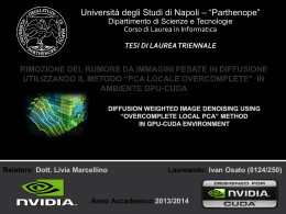 Il metodo PCA locale overcomplete - Università degli Studi di Napoli