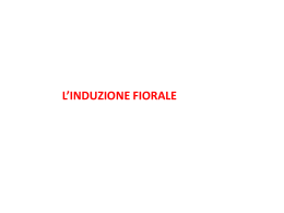 fiore_7_parte_prima