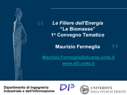 M.Fermelia - FIT Fondazione Internazionale Trieste per il Progresso
