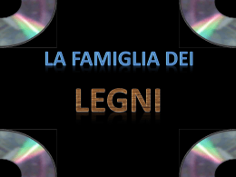 Legno