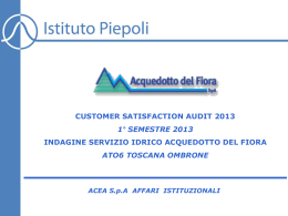 Indagine di Customer Satisfaction 2013 - I