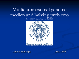 Multichromosomal genome median and halving problems