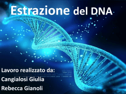 Estrazione Del DNA Cangialosi Gianoli