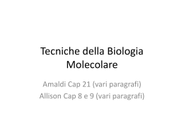 21. Tecniche della Biologia Molecolare