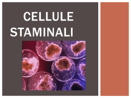 Cellule staminali