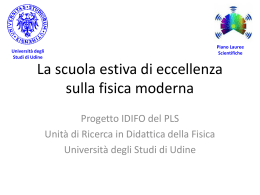 PosterSEFMinHope - Universita` di Udine